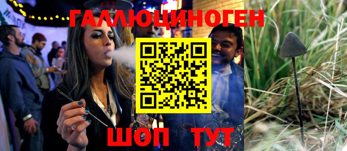 Псилоцибиновые грибы прущие грибы  Вход с VPN  Псилоцибиновые грибы мицелий  Зеленокумск 